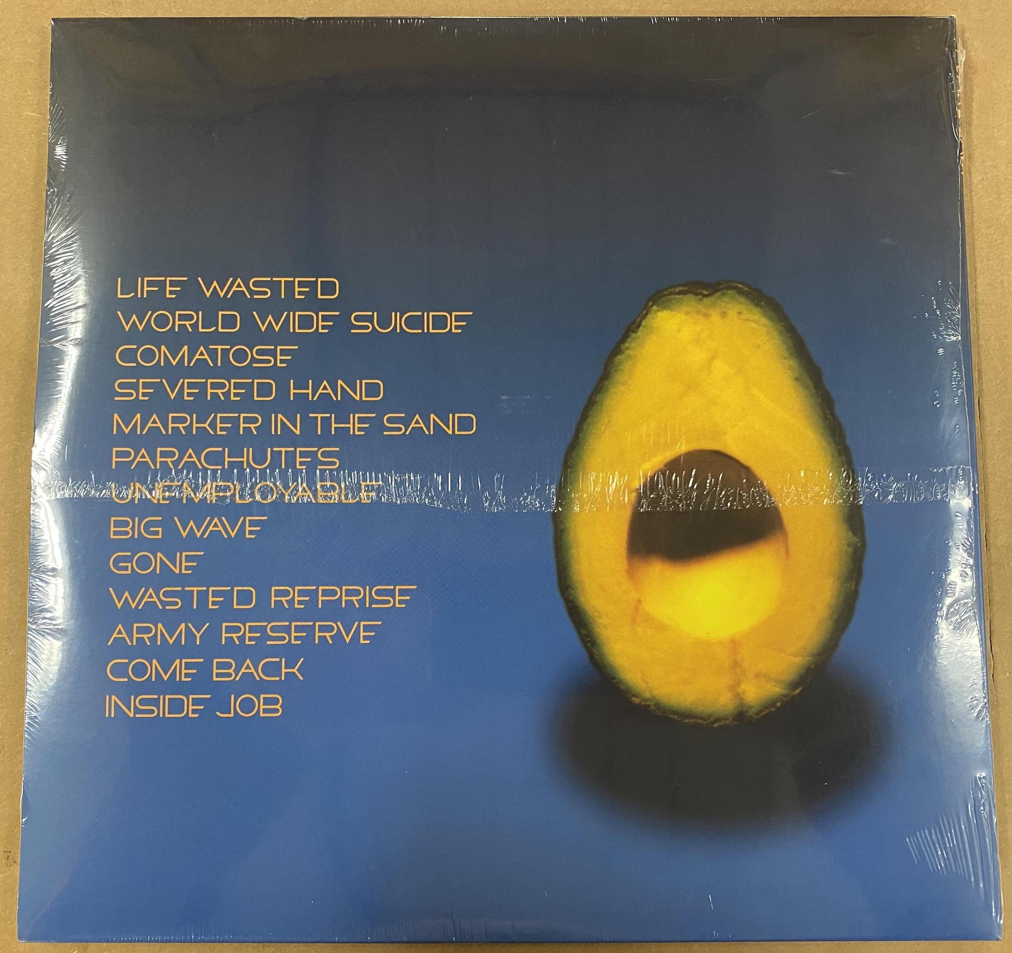 Pearl Jam Vinyl LP Original Pressing - Auction