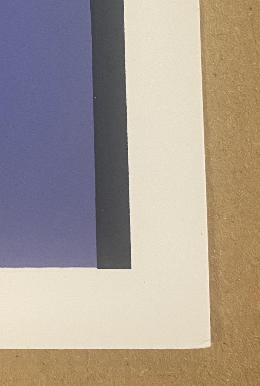 2018 Chicago Away Shows Poster Steve Thomas Variant - AUCTION