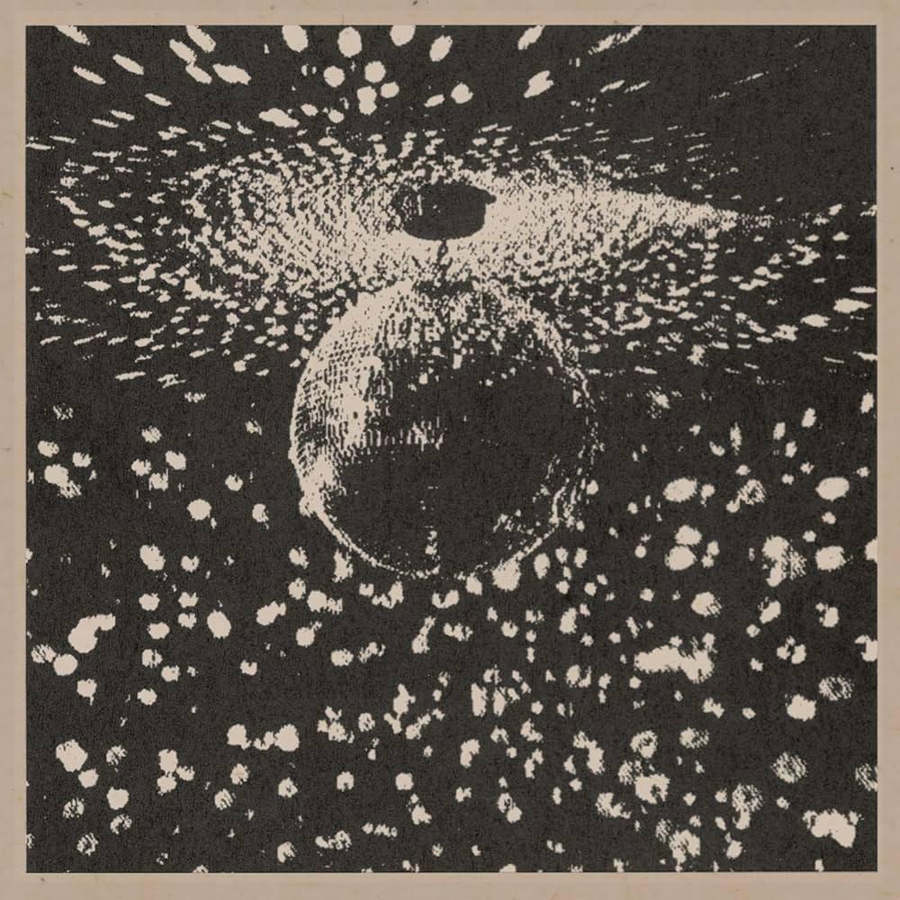 Neil Young Mirror Ball | Ten Club LLC