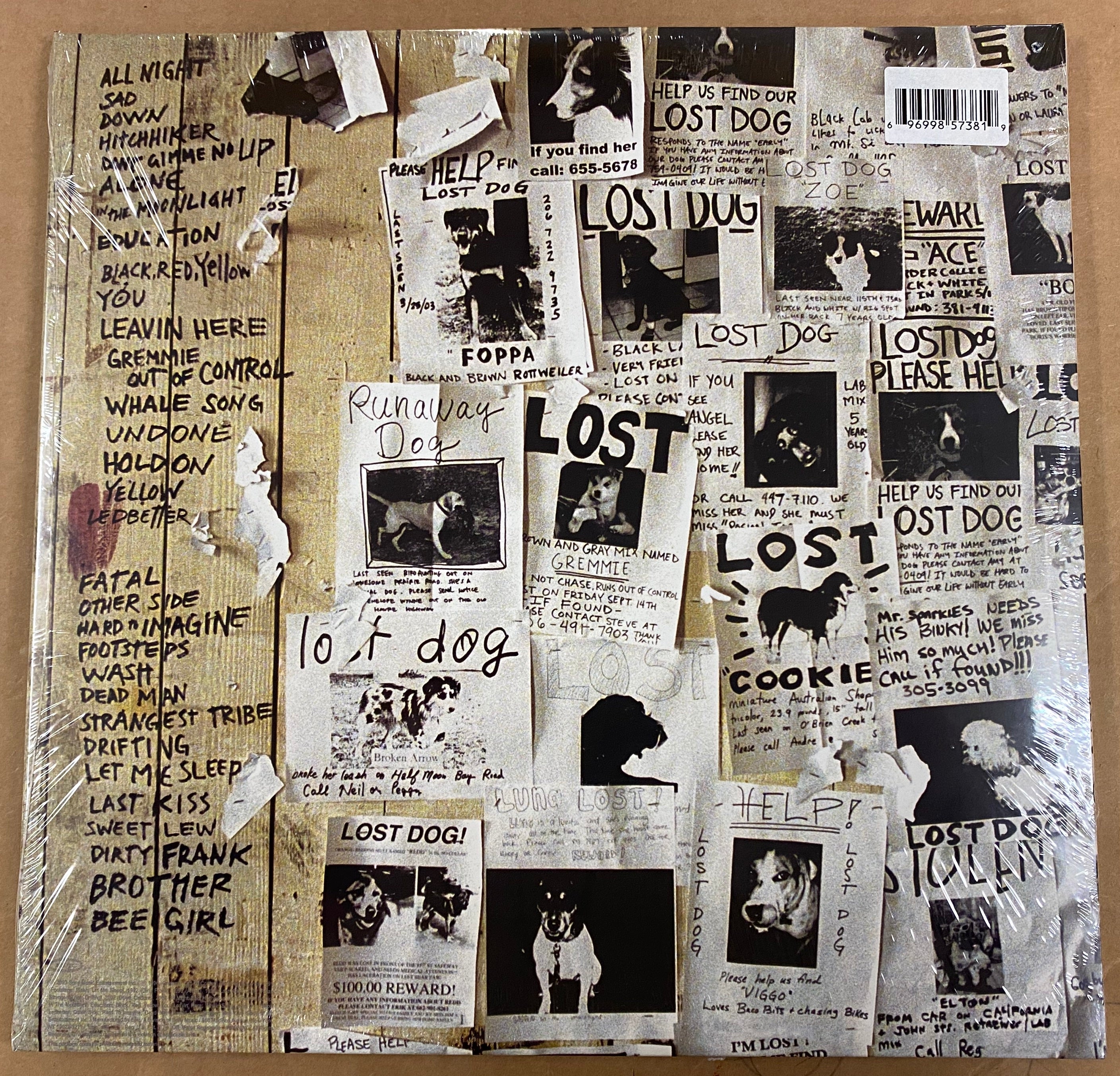 2003 Pearl Jam Lost Dogs First Pressing Vinyl - Auction | Ten Club LLC