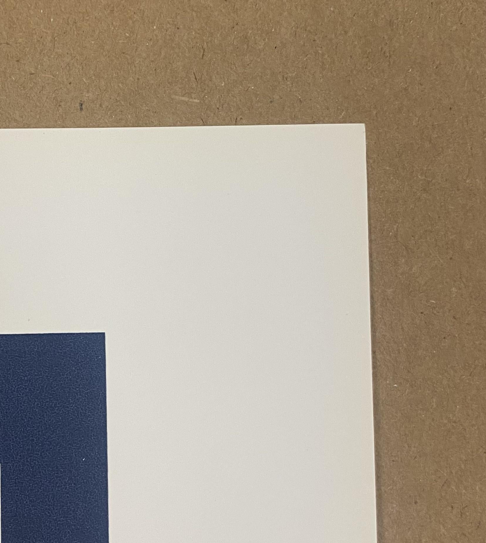 2011 Pearl Jam 9/3 PJ20 Ames Bros Blue Variant- Auction