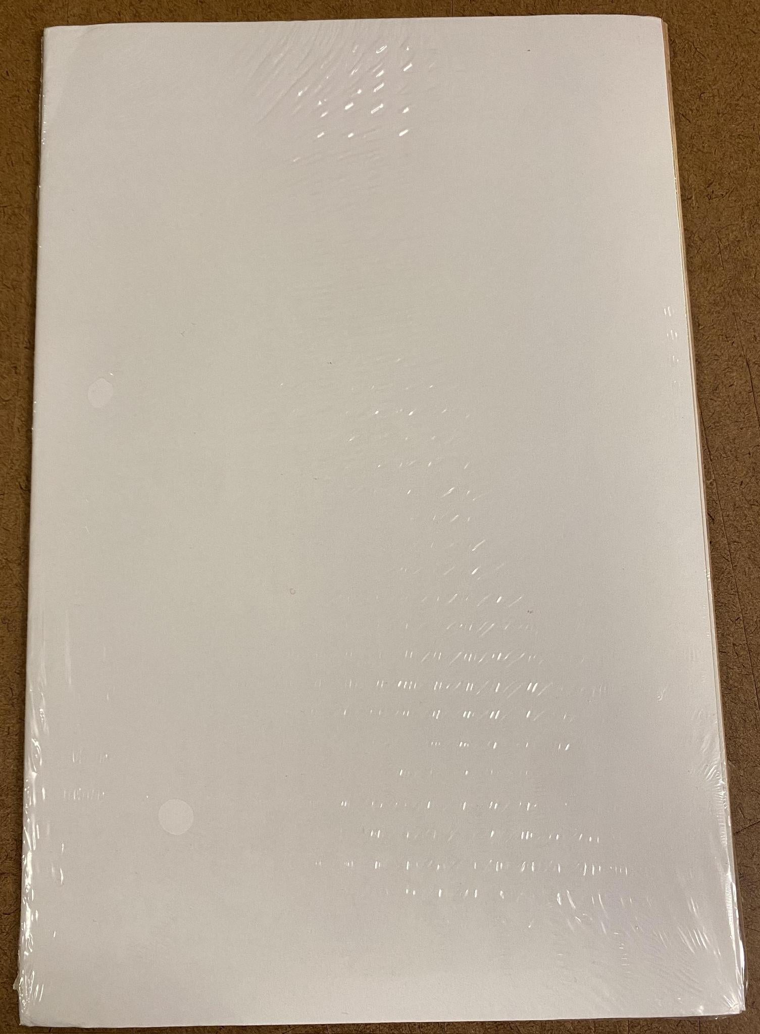 2017 Pearl Jam Let's Play Two Movie Poster - Auction