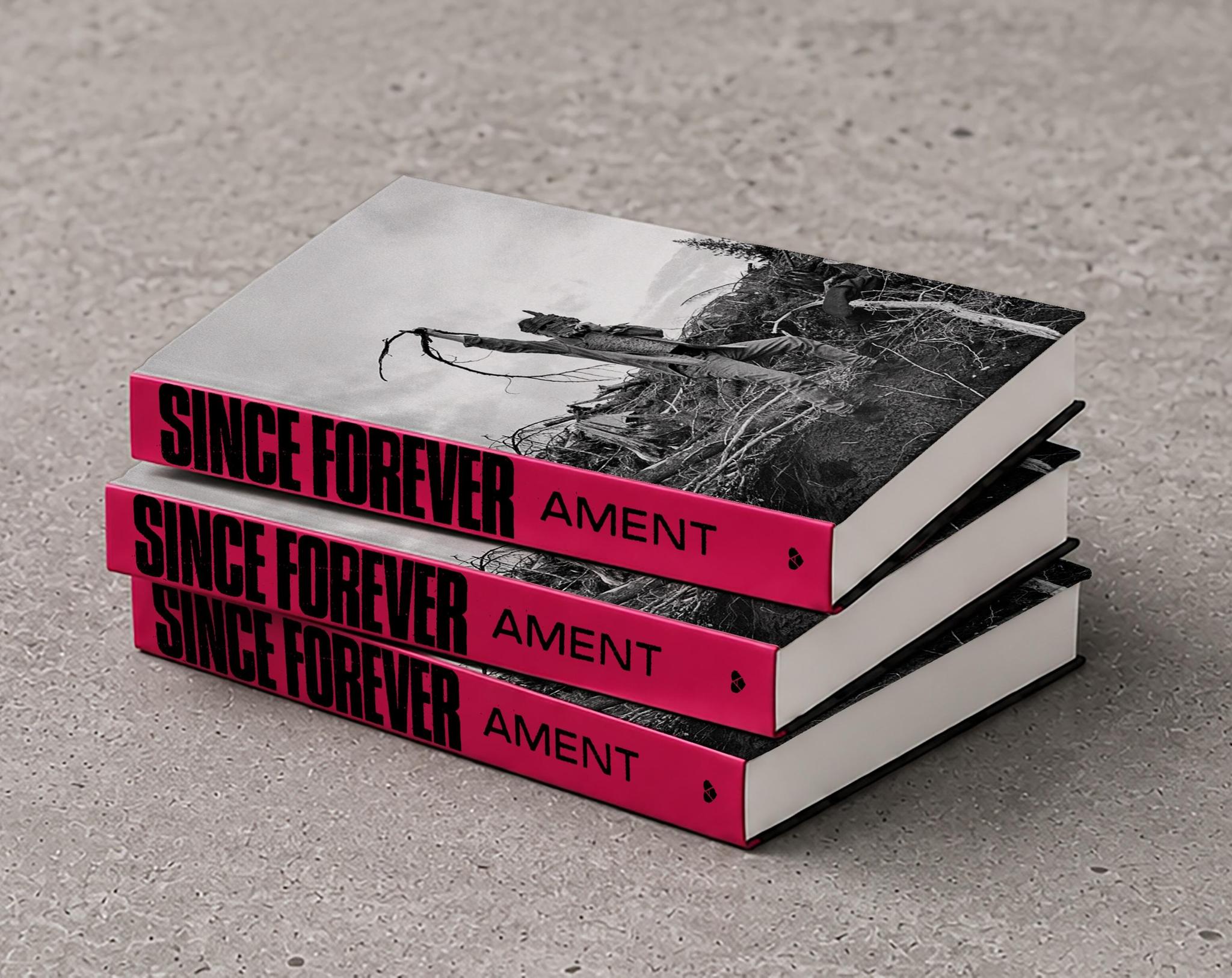 Jeff Ament Since Forever Pre-order