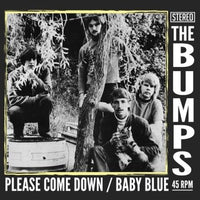 THE BUMPS Please Come Down b/w Baby Blue 7" VINYL SINGLE
