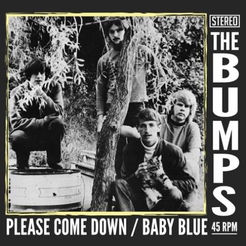 THE BUMPS Please Come Down b/w Baby Blue 7" VINYL SINGLE