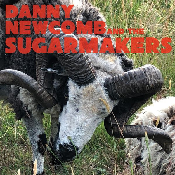 DANNY NEWCOMB & THE SUGARMAKERS AMERICAN b/w 14 DAYS